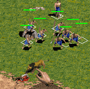 lion hunt